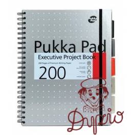 KOŁOZESZYT A4/100 PUKKA EXECUTIVE  PROJECT BOOK 6970-met/SQ nieb ziel sreb