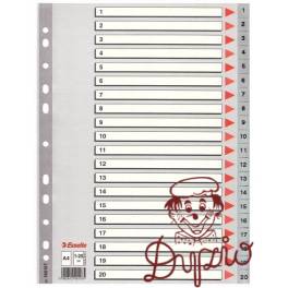 PRZEKŁADKI ESS. 100107 PP/SZARE A4 1-20 szare +karta opis PRZEKŁADKI ESS. 100107 PP/SZARE A4 1-20 szare +karta opis