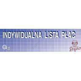 DRUK LISTA PŁAC A4 INDYWIDUALNA P5 DRUK LISTA PŁAC A4 INDYWIDUALNA P5