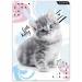 Teczka z gumką A4 STK Cute Kitty 473026 STARPAK