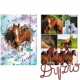 Teczka z gumką A4 STK SWEET HORSES 298952 STARPAK Teczka z gumką A4 STK SWEET HORSES 298952 STARPAK