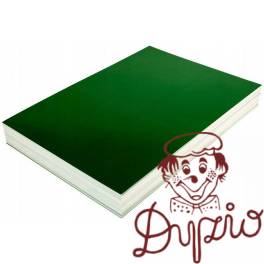 Okładka kartonowa do bindowania CHROMO A4 NATUNA zielona błyszcząca (100szt)