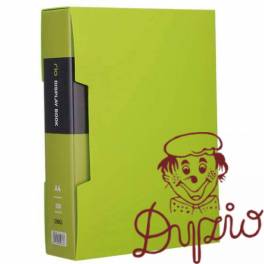 Album ofertowy A4 100 koszulek RIO zielony E5037 GREEN DELI Album ofertowy A4 100 koszulek RIO zielony E5037 GREEN DELI