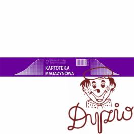 344-3 Kartoteka magazynowa MICHALCZYK&PROKOP A5 50 kartek 344-3 Kartoteka magazynowa MICHALCZYK&PROKOP A5 50 kartek