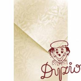 Karton ozdobny A4 OLYMPIA kremowy 220g (20) 203422 GALERIA PAPIERU Karton ozdobny A4 OLYMPIA kremowy 220g (20) 203422 GALERIA PAPIERU