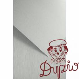 Karton ozdobny NATTE biały 120g. (50ark.) 206111 Galeria Papieru Karton ozdobny NATTE biały 120g. (50ark.) 206111 Galeria Papieru