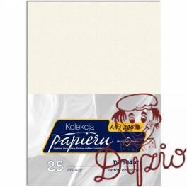 Karton wizytówkowy A4 246g DZ104-C (25) MICHALCZYK I PROKOP