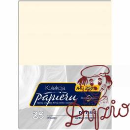 Karton wizytówkowy A4 250g DZ114-C (25) MICHALCZYK I PROKOP Karton wizytówkowy A4 250g DZ114-C (25) MICHALCZYK I PROKOP