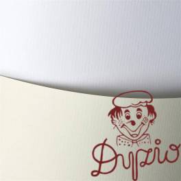 Karton ozdobny A4 LAID biały 120g (50ark.) 206001 Galeria Papieru Karton ozdobny A4 LAID biały 120g (50ark.) 206001 Galeria Papieru