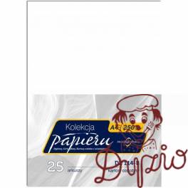Karton ozdobny 250g (25) DZ114-B Karton ozdobny 250g (25) DZ114-B