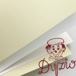 Karton ozdobny A4 GŁADKI biały 250g (20ark) 202801 Galeria Papieru Karton ozdobny A4 GŁADKI biały 250g (20ark) 202801 Galeria Papieru