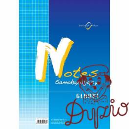 N-113-3 Notes A5 gładki samoko Michalczyk i Prokop N-113-3 Notes A5 gładki samoko Michalczyk i Prokop