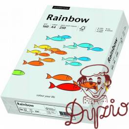 Papier ksero A4 160g RAINBOW R93 jasno szary 250ark 88042791 Papier ksero A4 160g RAINBOW R93 jasno szary 250ark 88042791
