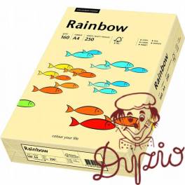 Papier ksero A4 160g RAINBOW R06 kość słoniowa/chamois 250ark 88042283 Papier ksero A4 160g RAINBOW R06 kość słoniowa/chamois 250ark 88042283