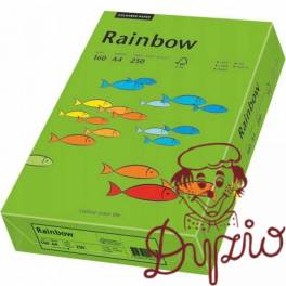 Papier ksero A4 160g RAINBOW R78 ciemny zielony 88042681 Papier ksero A4 160g RAINBOW R78 ciemny zielony 88042681