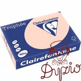 Papier ksero A4 160g TROPHEE łososiowy 1104 xca41104 250ark Papier ksero A4 160g TROPHEE łososiowy 1104 xca41104 250ark