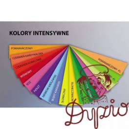 Papier ksero A4 210g TROPHEE słoneczny 2210 250ark Papier ksero A4 210g TROPHEE słoneczny 2210 250ark
