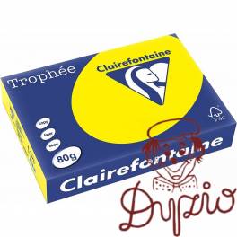 Papier ksero A4 80g TROPHEE słoneczny XCA41877 CLAIREFONTAINE Papier ksero A4 80g TROPHEE słoneczny XCA41877 CLAIREFONTAINE