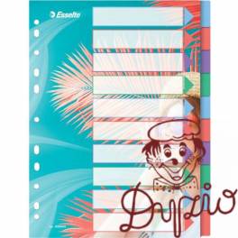 Przekładki Colour`Breeze PP A4 10 przekładek 628500 ESSELTE Przekładki Colour`Breeze PP A4 10 przekładek 628500 ESSELTE