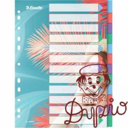 Przekładki Colour`Breeze PP A4 12 przekładek 628501 ESSELTE Przekładki Colour`Breeze PP A4 12 przekładek 628501 ESSELTE