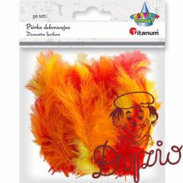 Piórka dekoracyjne mix kol. 50szt 396537 TITANUM