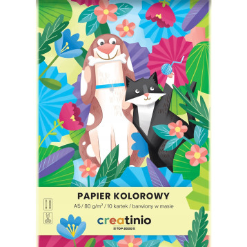 Zeszyt papierów kolorowych A5 10k 80g CREATINIO 400176683 TOP 2000 Zeszyt papierów kolorowych A5 10k 80g CREATINIO 400176683 TOP 2000