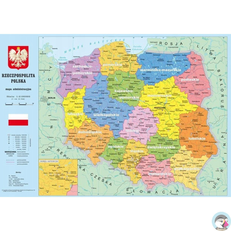 Podkład szkolny na biurko MAPA POLSKA 55x38 KRESKA