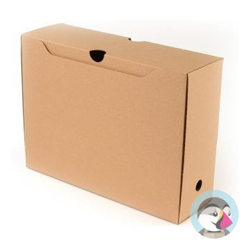Pudło archiwizacyjne NATURA 450g. 350x250x100mm 5-25004 KIELTECH