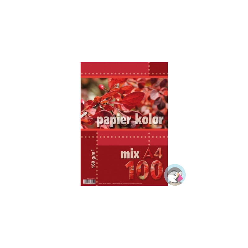 Papier ksero A4 160g KRESKA mix kolorów 100ark