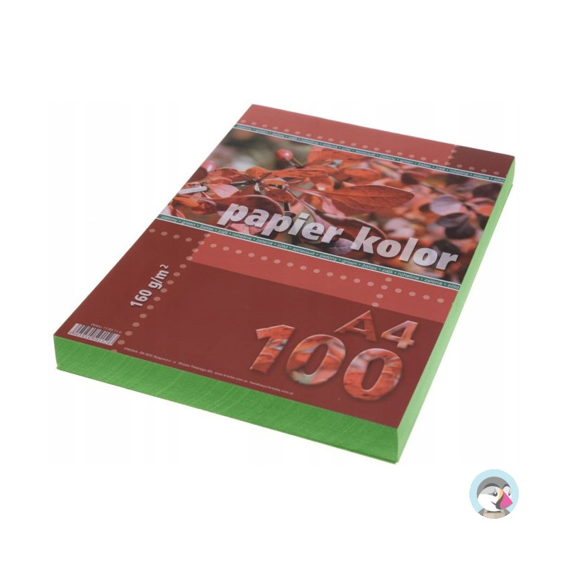 Papier ksero A4 160g KRESKA zielony 100ark