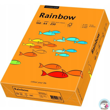 Papier ksero A4 160g RAINBOW R24 pomarańczowy 88042439