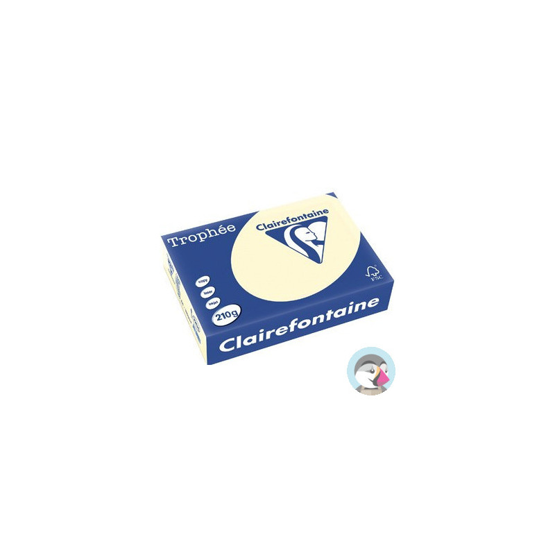 Papier ksero A4 210g 2204 piaskowy EMERSON