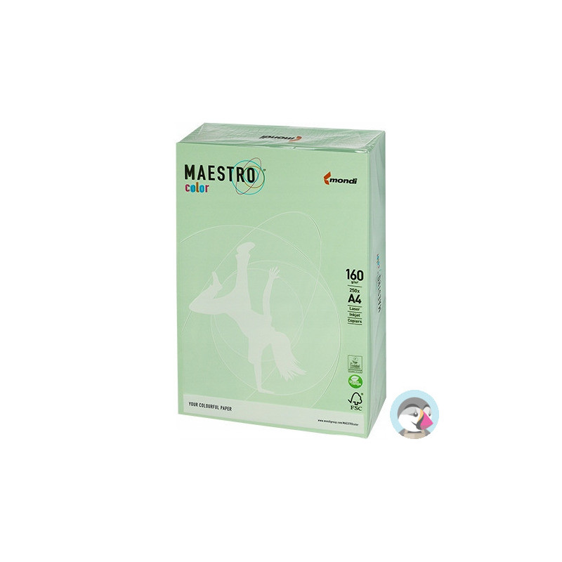Papier ksero A4 160g MAESTRO COLOR MG28 pastel zielony 250a
