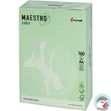 Papier ksero A4 160g MAESTRO COLOR MG28 pastel zielony 250a