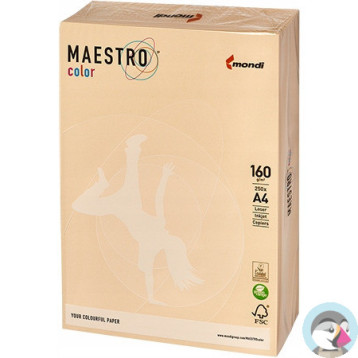 Papier ksero A4 160g MAESTRO COLOR CR20 pastel chamois (250arkuszy)