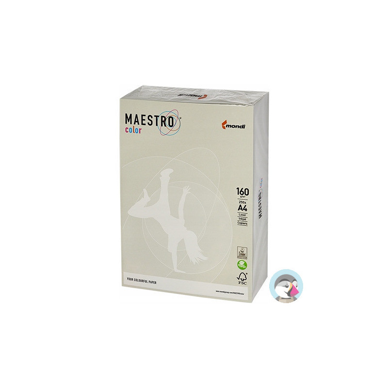 Papier ksero A4 160g MAESTRO COLOR GR21 szary 250a