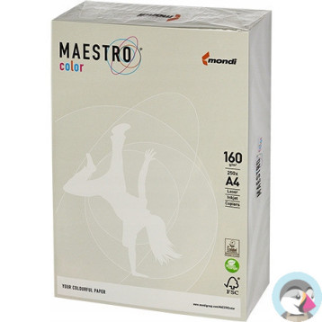 Papier ksero A4 160g MAESTRO COLOR GR21 szary 250a