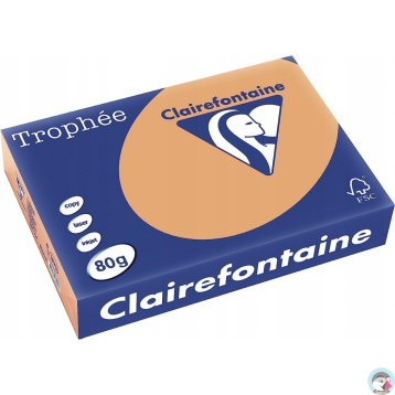 Papier ksero A4 80g TROPHEE brąz wielbłądzi XCA41879 CLAIREFONTAINE