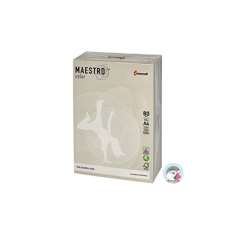 Papier ksero A4 80g MAESTRO COLOR GR21 Trendy szary