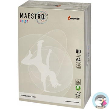 Papier ksero A4 80g MAESTRO COLOR GR21 Trendy szary