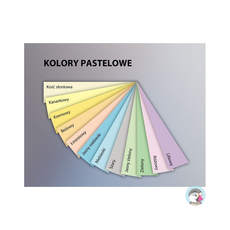 Papier ksero A4 160g EMERSON kość słoniowa 250ark xem416093 CR20