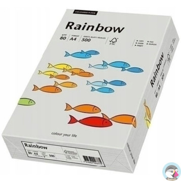 Papier ksero A4 80g RAINBOW R96 szary 88042805