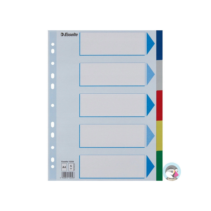 Przekładki plastikowe z PP A4 5 kart 15259 ESSELTE