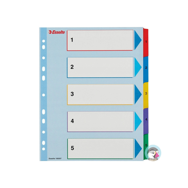 Przekładki kartonowe MYLAR A4 MAXI 1-5 ESSELTE 100207