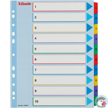 Przekładki kartonowe MYLAR A4 MAXI 1-10 ESSELTE 100208