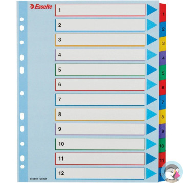 Przekładki kartonowe MYLAR A4 MAXI 1-12 ESSELTE 100209