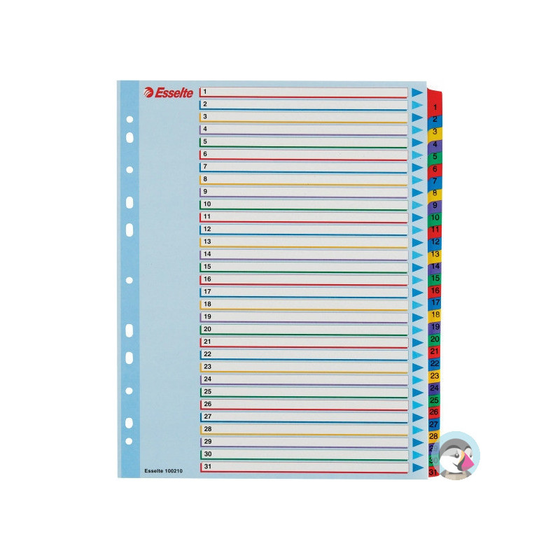 Przekładki kartonowe MYLAR A4 MAXI 1-31 ESSELTE 100210