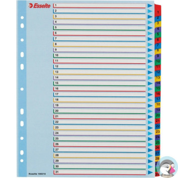 Przekładki kartonowe MYLAR A4 MAXI 1-31 ESSELTE 100210