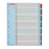 Przekładki kartonowe MYLAR A4 MAXI 1-31 ESSELTE 100210