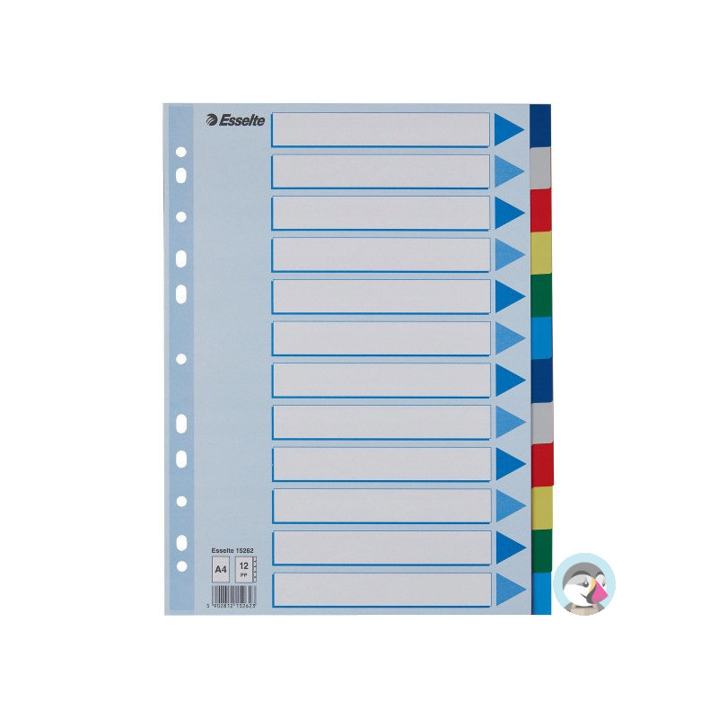 Przekładki plastikowe z PP A4 12 kart 15262 ESSELTE